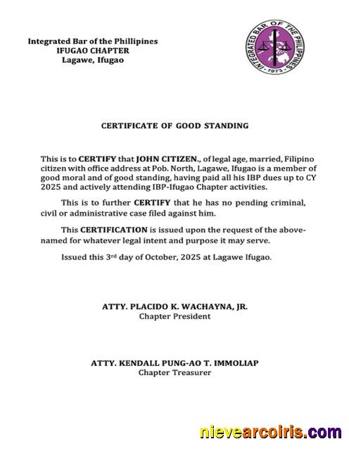 Philippines certificate of good standing, version 7